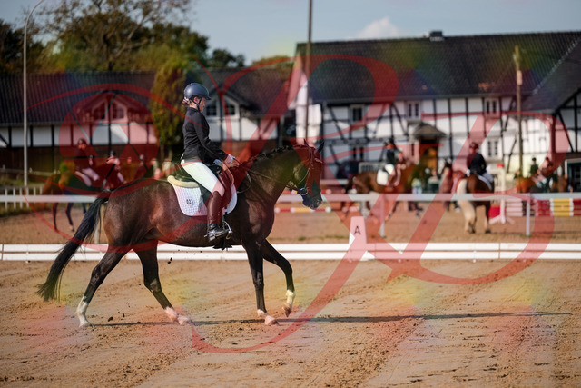 2026_10_03_Siefer-Hof_113524_Z63_21264382 | Professionelle Reitsport-, Turnier- und Eventfotografie von Robert Broda. Galerien mit ausgewählten und bearbeiteten Bildern direkt online ansehen und bestellen.