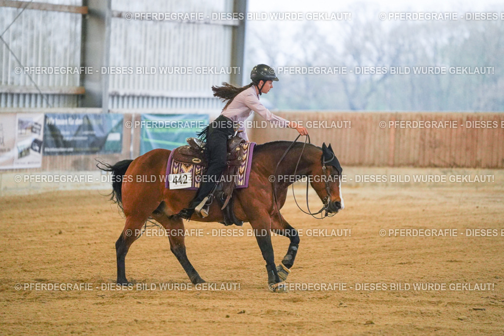 DSC09366 | Pferdegrafie