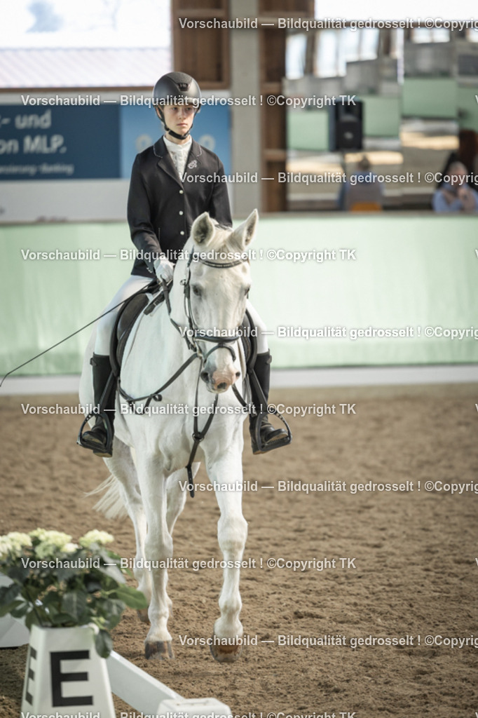 _D5A5731 | Emotionale Pferde- & People-Fotografie rund um Heidelberg, Leimen & Umgebung. Natürliche Fotos von Pferd, Mensch & Familie. Jetzt Termin sichern!