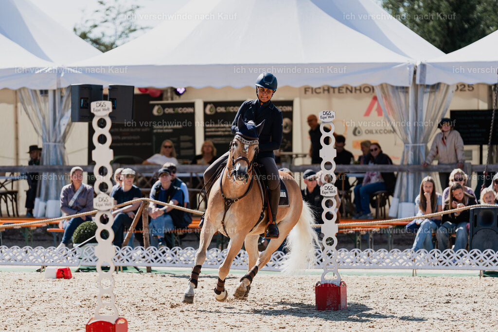 Tanesha5FHC2025-08817 | working equitationturnier fotograf videograf stoibphotography marixx film working equitation deutschland reitsport turnierfotografie eventfotografie equestrian events