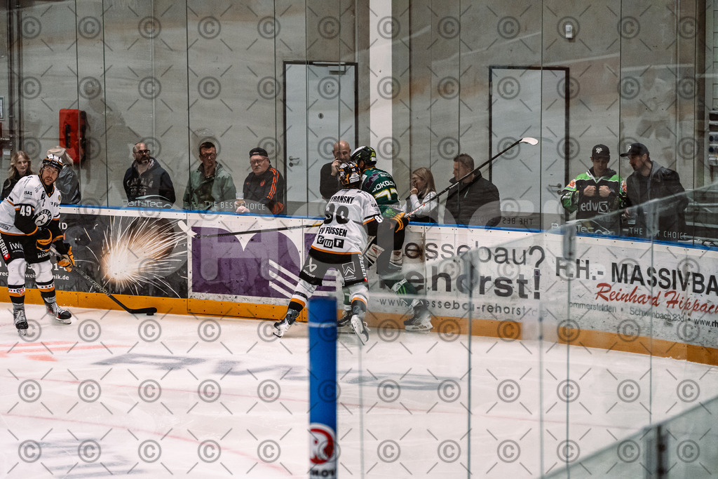 Alligators_vs_Fuessen_27_09_2026-36 | Die Fotogalerie von Daddel: professionelle Bilder von Sport, Events und Unternehmen aus Franken. Jetzt Galerien durchstöbern und Lieblingsfotos bestellen. - Realisiert mit Pictrs.com