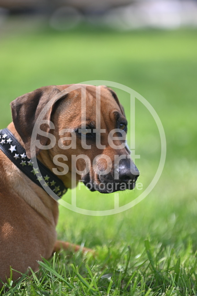 DSC_2588 | sattelsport - Realisiert mit Pictrs.com