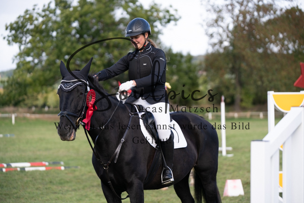 A7V06597 | Pferdefotograf