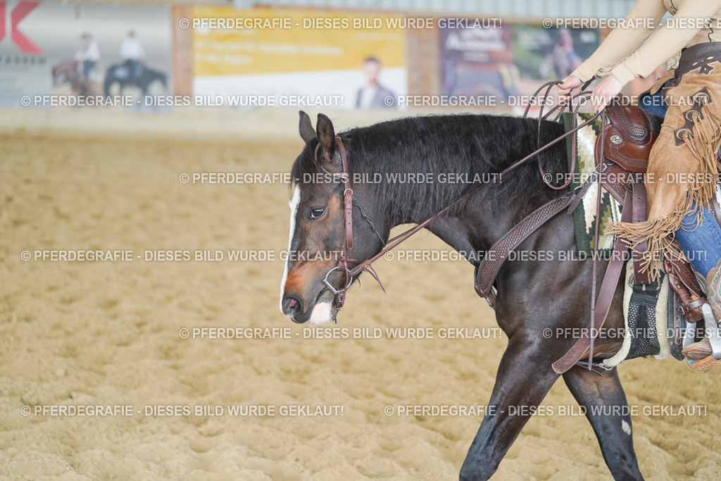 DSC05767 | Pferdegrafie