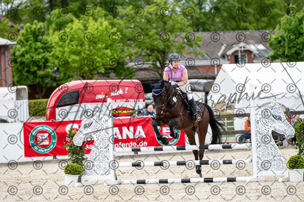 KPT_7306 | andre_photographic