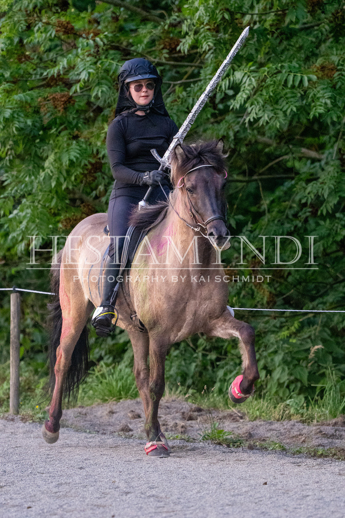 KAI07369 | Ihr sucht einen Fotografen für eure nächste OSI? Ich begleite auch euer Turnier für Islandpferde fotografisch.  - Realisiert mit Pictrs.com