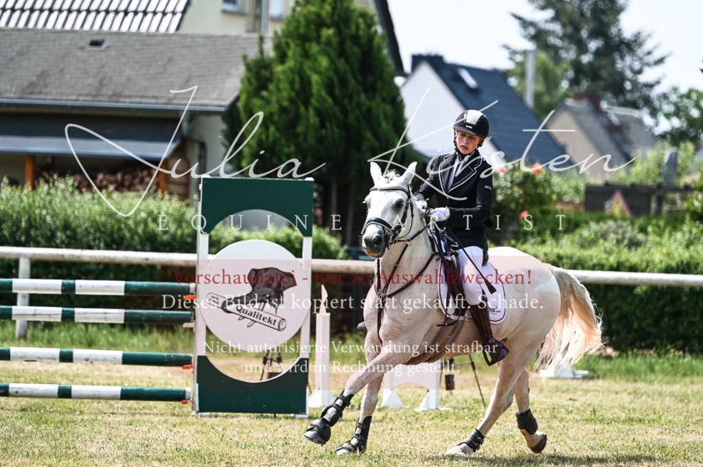 DSC_9408 | Pferde- und Turnierfotografie in Westsachsen. Pferdeportraits, Auftragszeichnungen und intuitive Kunst.