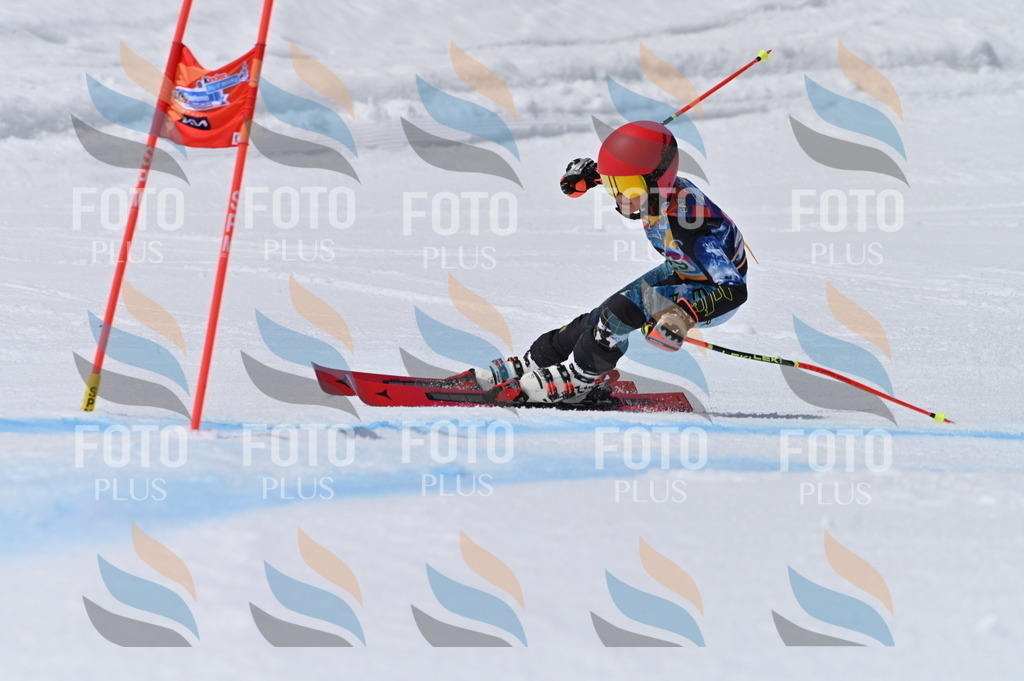 BGV_6529 | holidayphoto