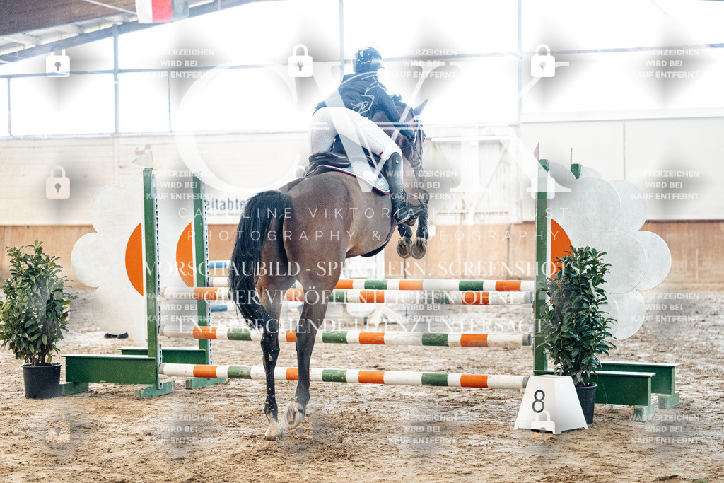 CK904409 | Turnierfotografie Pferdefotografie Trier Rheinland-Pfalz Pferdesport Reitsport Tierfotografie Sportfotografie Pferdevideo Pferdevideografie Equestrianvideography equestrianphotography  - Realisiert mit Pictrs.com