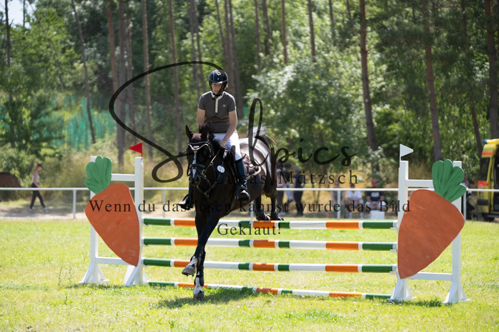 A7V05917 | Pferdefotograf