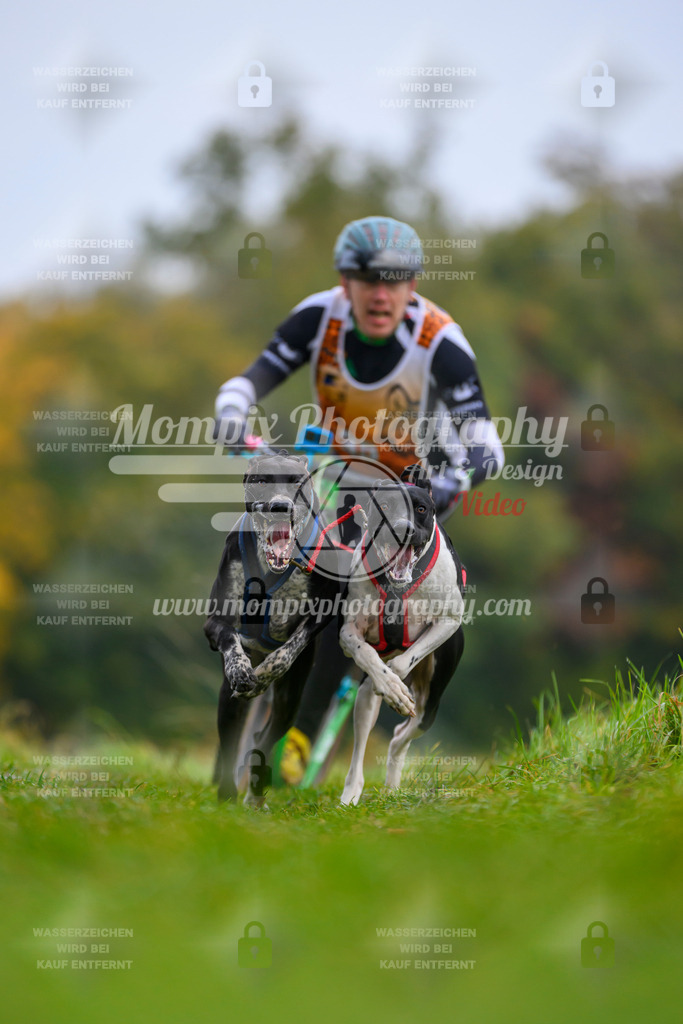 MompixPhotography_CDLBDB2025_DI_DS-3 | PayLife