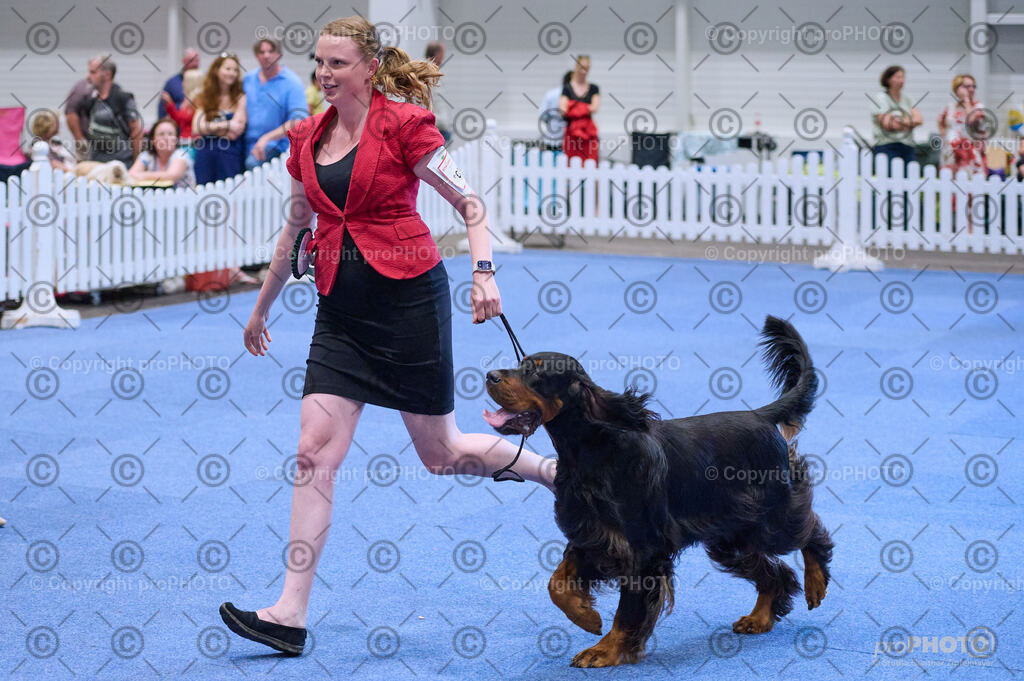 202406_ÖKV-IHA-Tulln24_DSC_4146 | proPHOTO - Realisiert mit Pictrs.com