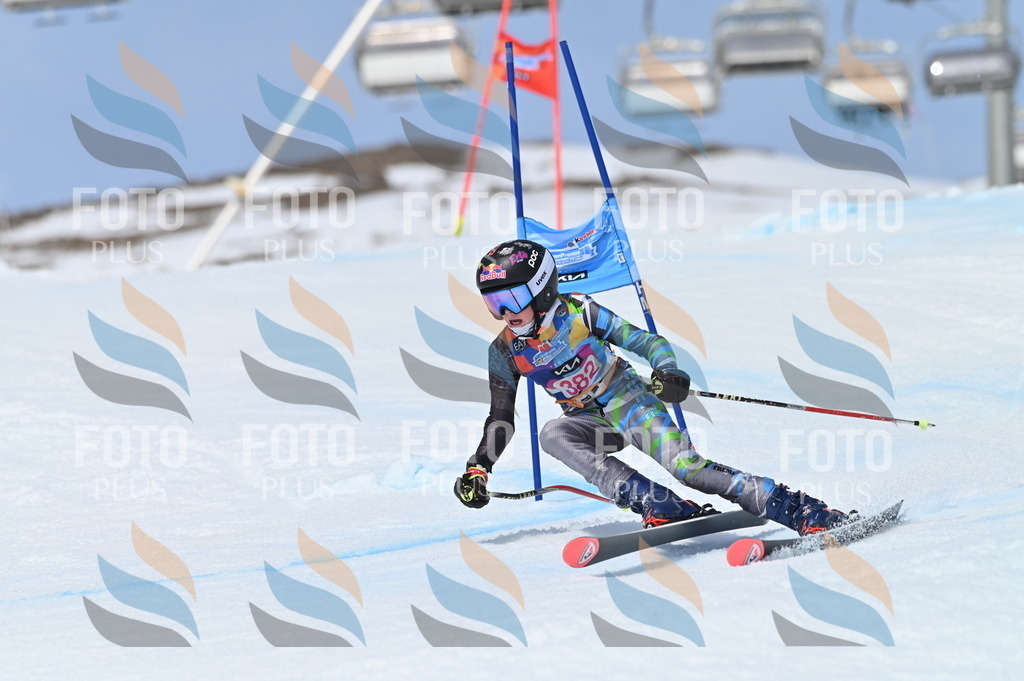 BGV_4220 | holidayphoto