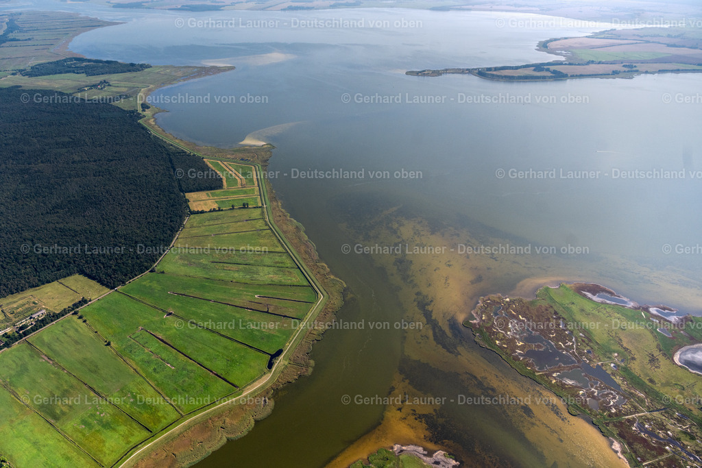 4061777 | Nationalpark Vorpommersche Boddenlandschaft, ZINGST 08.09.2021 Salzgrasland und Vogelschutz- Gebiet in Zingst an der Ostseeküste im Bundesland Mecklenburg-Vorpommern, Deutschland.