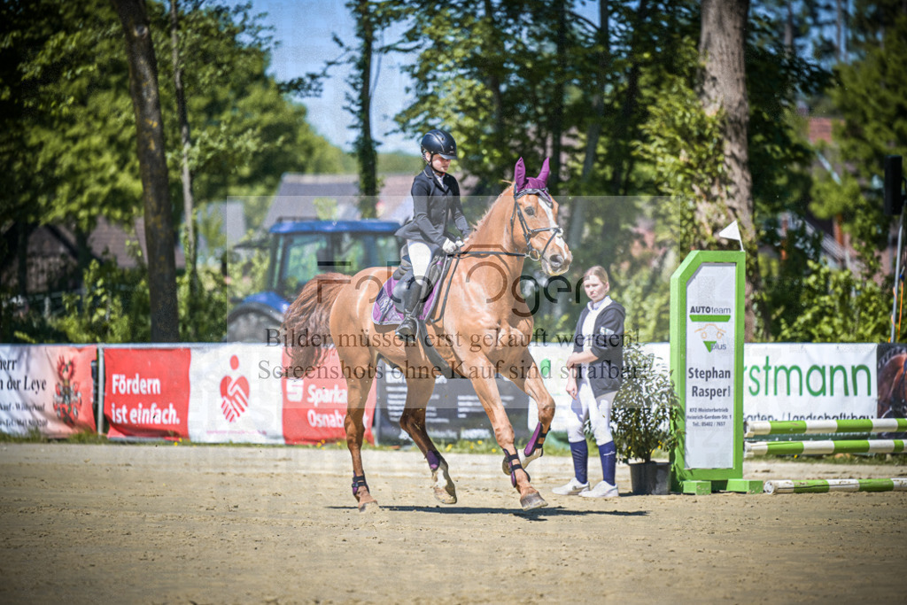 DOS_9071 | Entdecke hochwertige Reitturnierfotos von Foto Oger. Professionell, emotional und authentisch – jetzt Lieblingsmomente im Shop bestellen.Deutschlandweite Turnierfotografie. - Realisiert mit Pictrs.com