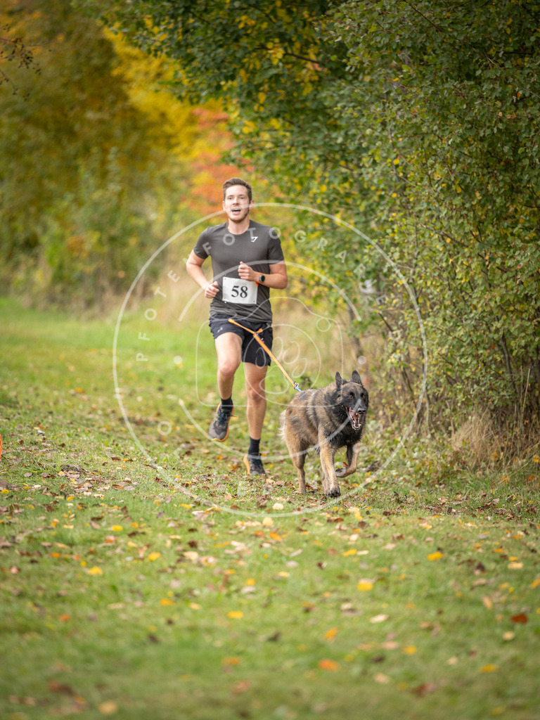 Pfotenfotografie_DV3A2597 | Hundefotografie, Tierfotograf, Pfotenfotografie, Fotoshooting Hund, Hunde Portrait, Hundesport, Hundeportraits, Heideshooting, Hunde, Sportfotograf, Hundefotograf, Turnierhundsport, THS,  - Realisiert mit Pictrs.com