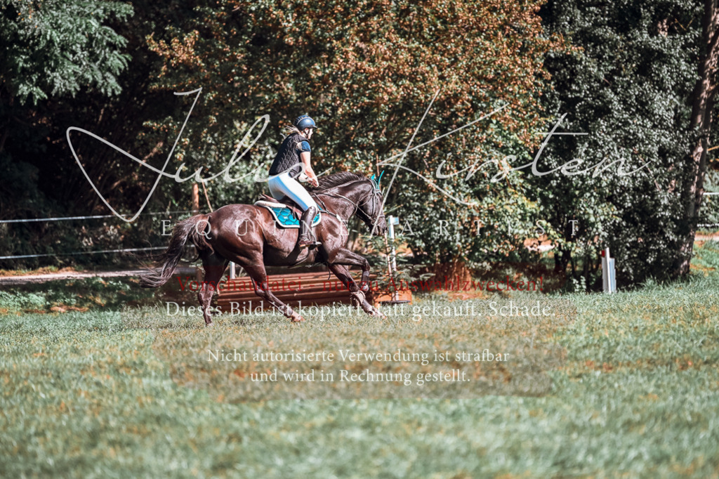DSC_0904 | Pferde- und Turnierfotografie in Westsachsen. Pferdeportraits, Auftragszeichnungen und intuitive Kunst.