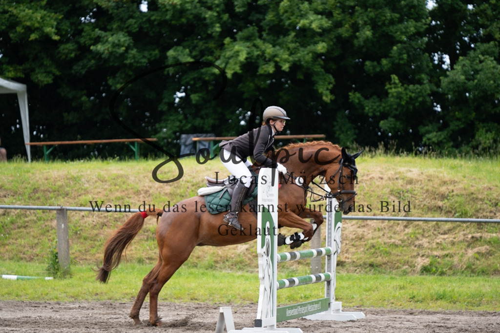 A7V04089 | Pferdefotograf