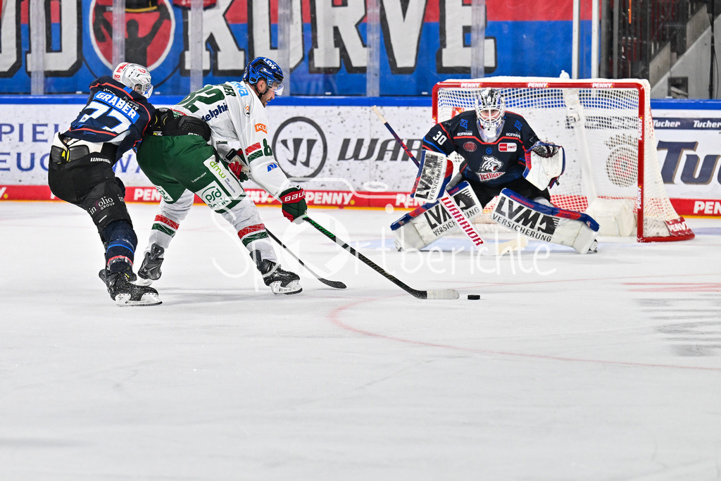 Nürnberg Ice Tigers - Augsburger Panther | Im Duell Will GRABER (Nürnberg Ice Tigers 77) und Alexandre GRENIER (Augsburger Panther 82) / Zweikampf / DEL: Nürnberg Ice Tigers - Augsburger Panther; PSD Bank Nürnberg ARENA am 12.09.2025