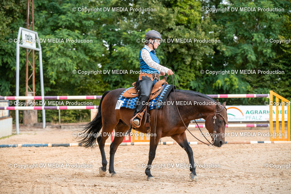 ZS2_7379 | dv-media-shop - Realisiert mit Pictrs.com