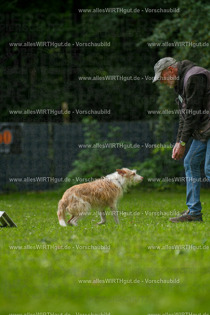 @allesWIRTHgut_Tierfotografie - www.allesWIRTHgut.de - 7R501309 | Professionelle Tierfotografie in Mönchengladbach von Daniel Wirth (allesWIRTHgut). Liebevolle & natürliche Bilder von Hunden & Katzen für unvergessliche Erinnerungen.