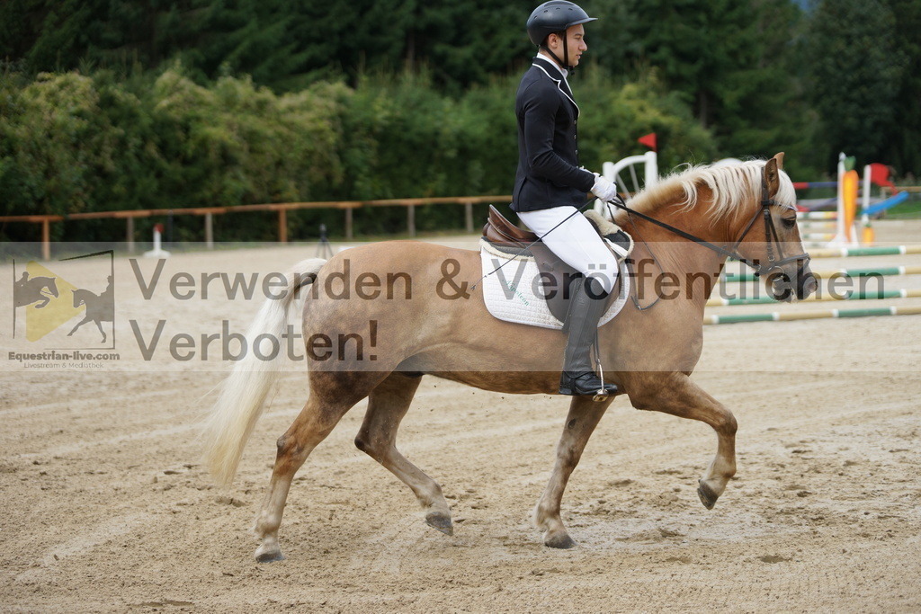 DSC06054 | equestrian-live-com