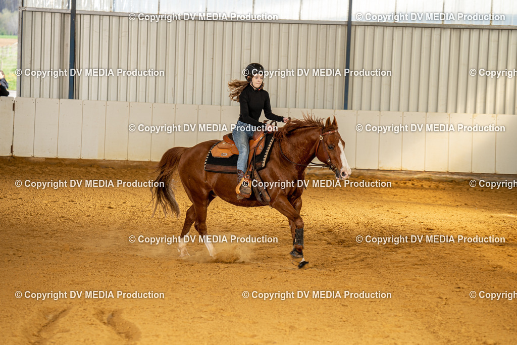 MIT00860 | dv-media-shop - Realisiert mit Pictrs.com