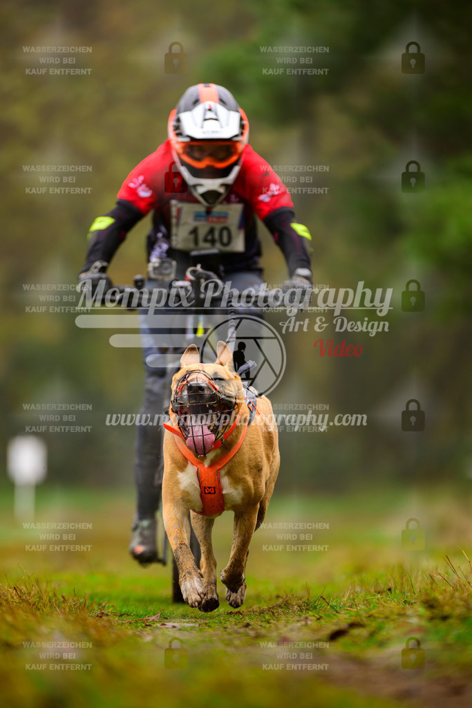 MompixPhotography_Bischwiller2025_Bike-110 | mompixphotography