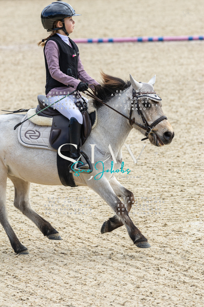 IMG_4704 | s-jay-photography - Realisiert mit Pictrs.com