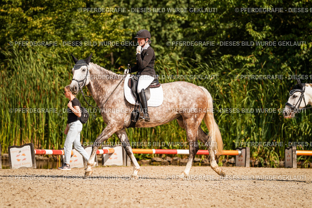 DSC01126 | Pferdegrafie