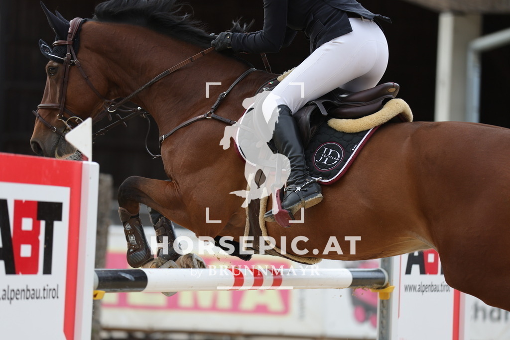 0P6A9420 | Willkommen bei Brunnmayr - Design & Fotografie – Ihrem Spezialisten für Reitturniere und Pferdeveranstaltungen in Oberösterreich, Salzburg und Bayern! Seit über 17 Jahren sind wir leidenschaftlich dabei.