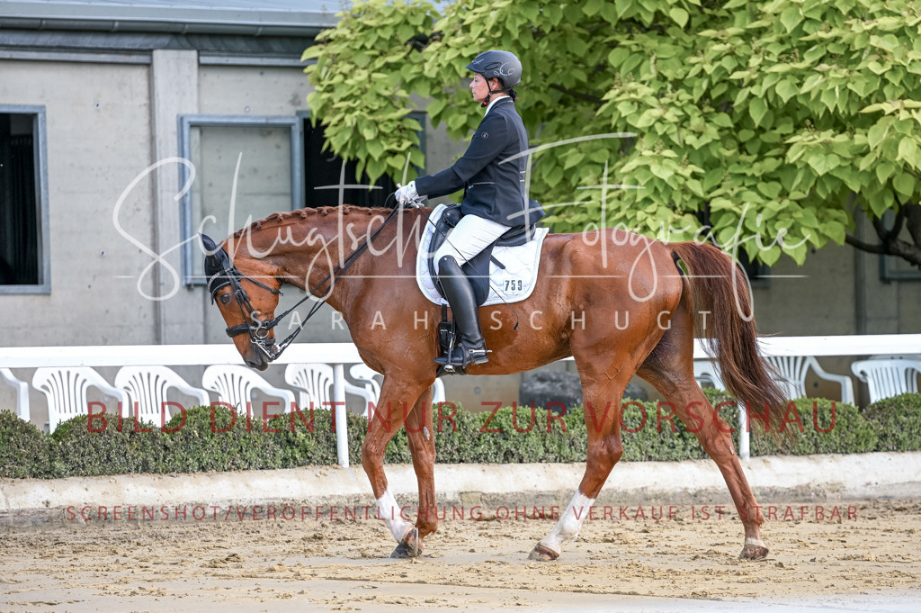 Schugtsche-Aluta25-52.Dressurprf.M2Kand-189 | Schugtsche Fotografie - Realisiert mit Pictrs.com