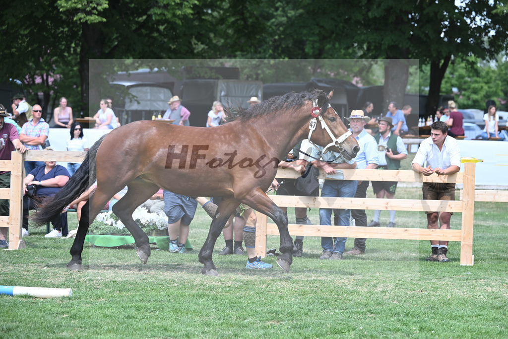 Kat-Nr. 47 Nymphenburg_Huber_20230750 | hf-fotografie - Realisiert mit Pictrs.com