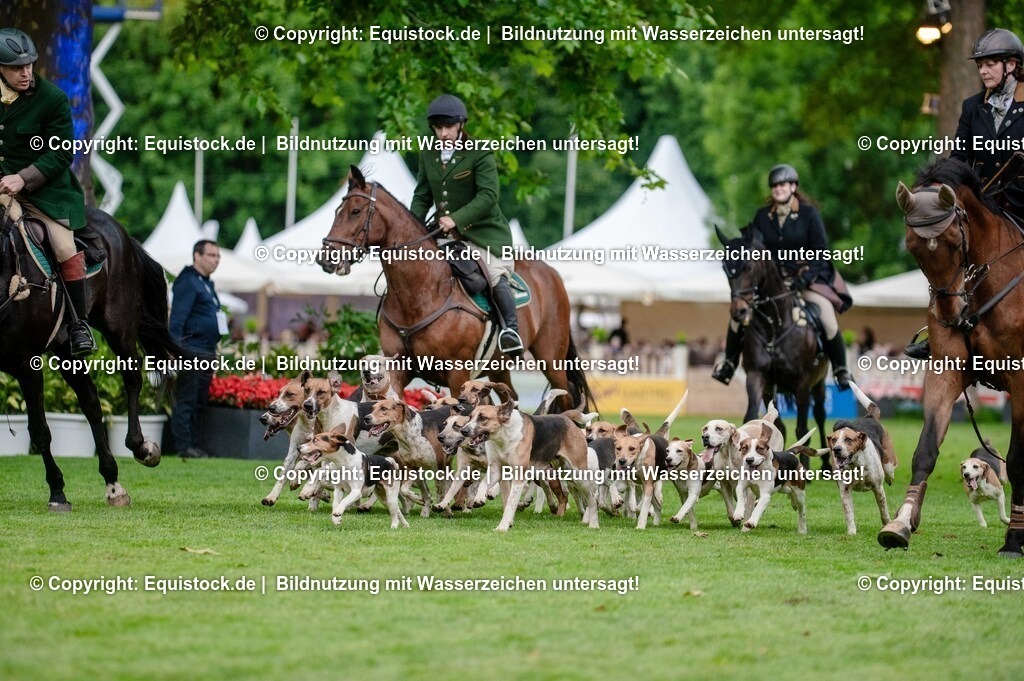 20250606_Lange-Pferdenacht_0503 | Foto: Thomas Hartig