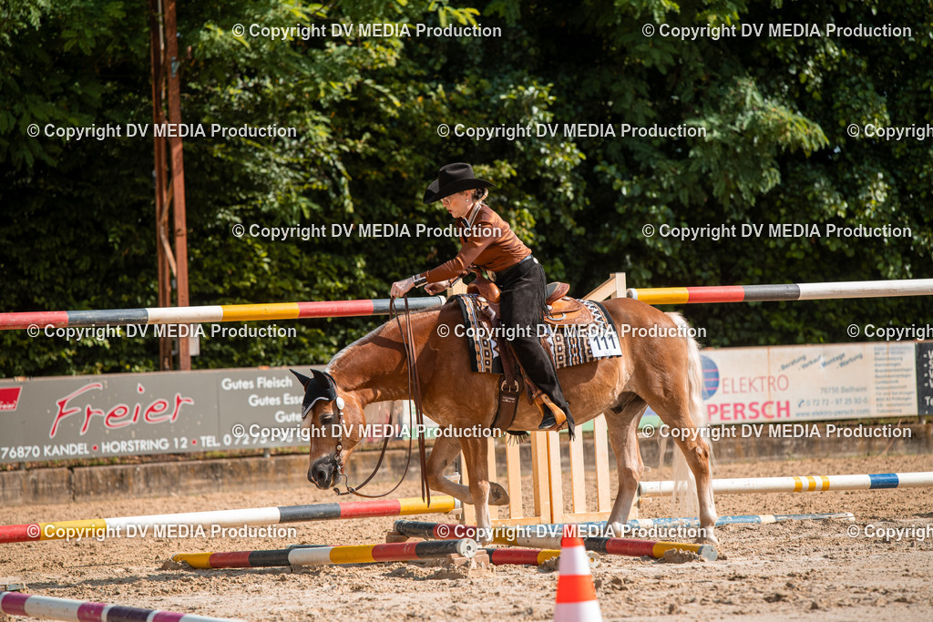 ZS3_9267 | dv-media-shop - Realisiert mit Pictrs.com