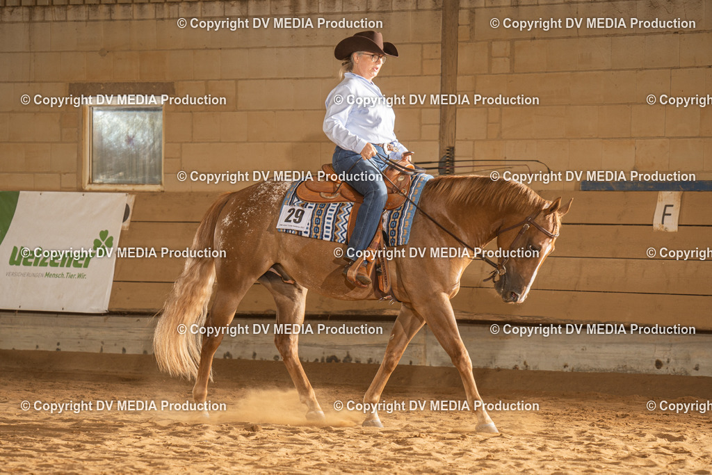 NID02596 | dv-media-shop - Realisiert mit Pictrs.com