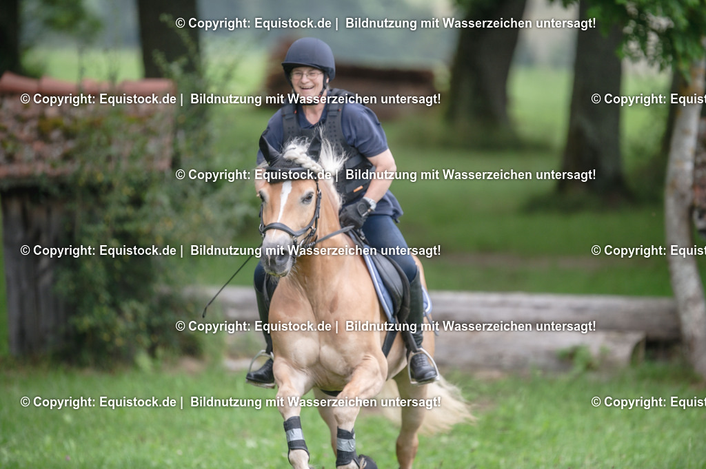 20250726_Vielseitigkeitslehrgang-Marbach_0519 | Foto: Thomas Hartig