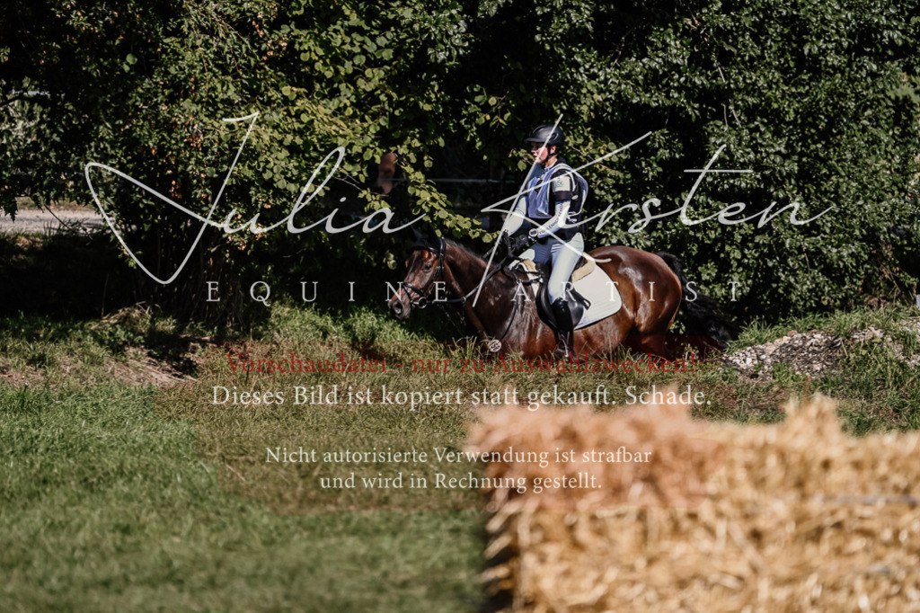 DSC_1443 | Pferde- und Turnierfotografie in Westsachsen. Pferdeportraits, Auftragszeichnungen und intuitive Kunst.