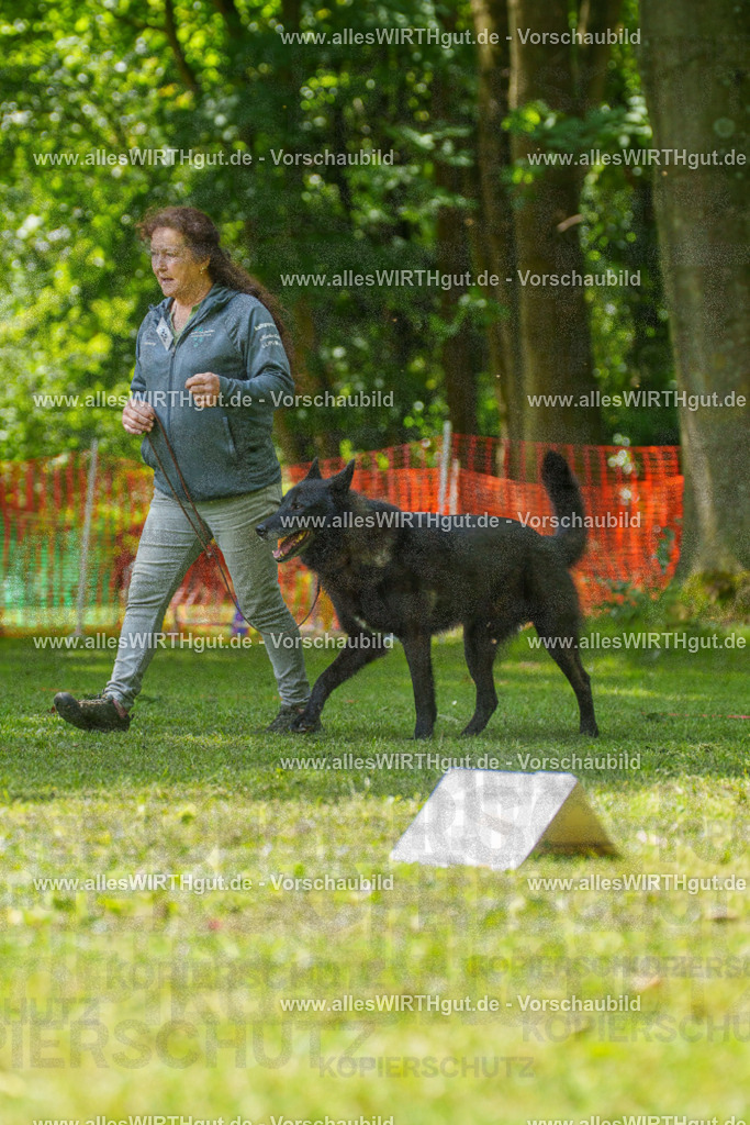 @allesWIRTHgut_Tierfotografie - www.allesWIRTHgut.de - 7R504646 | Professionelle Tierfotografie in Mönchengladbach von Daniel Wirth (allesWIRTHgut). Liebevolle & natürliche Bilder von Hunden & Katzen für unvergessliche Erinnerungen.