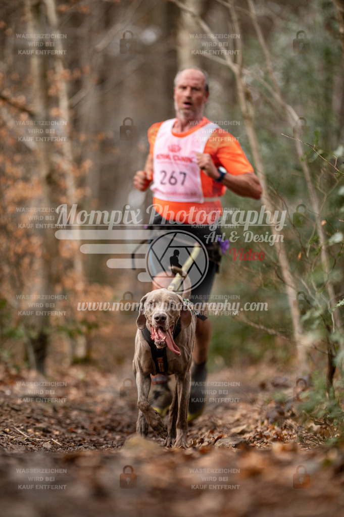 SPA_2023_DIM_CCK-30 | PayLife