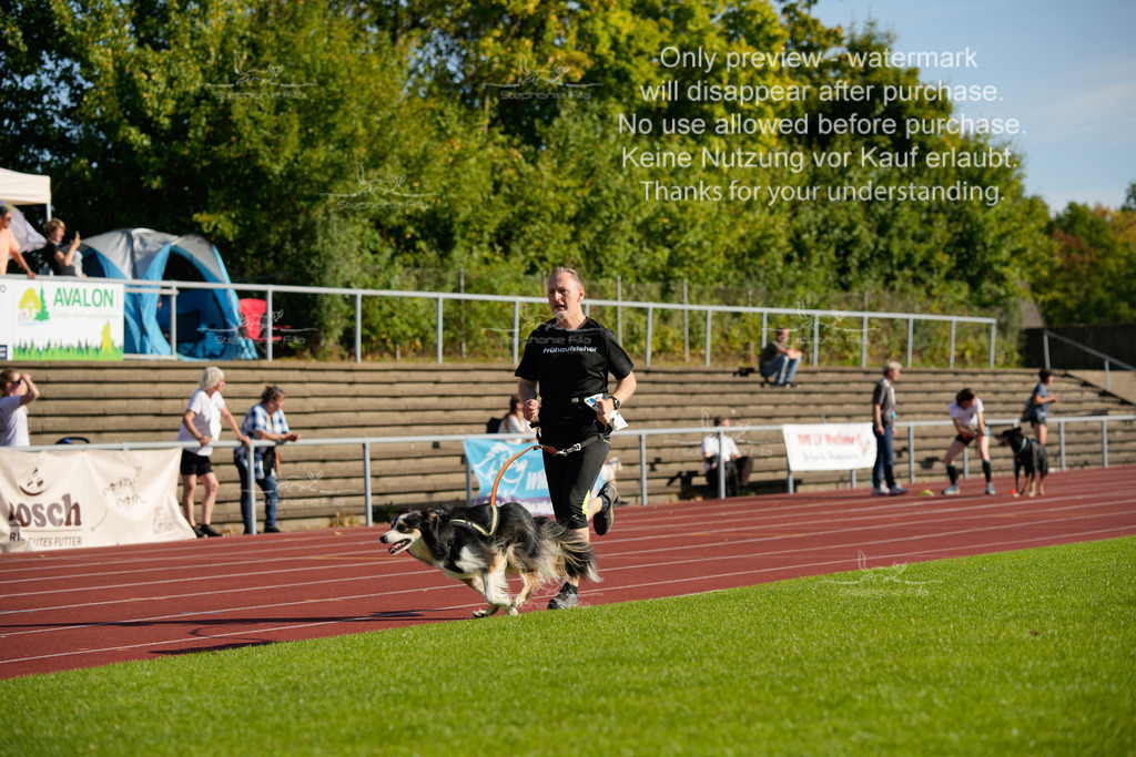 Sonntag_Staffel (290 von 336) | stephaniefillaphotographie - Realisiert mit Pictrs.com