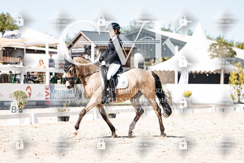 CK909886 | Turnierfotografie Pferdefotografie Trier Rheinland-Pfalz Pferdesport Reitsport Tierfotografie Sportfotografie Pferdevideo Pferdevideografie Equestrianvideography equestrianphotography  - Realisiert mit Pictrs.com