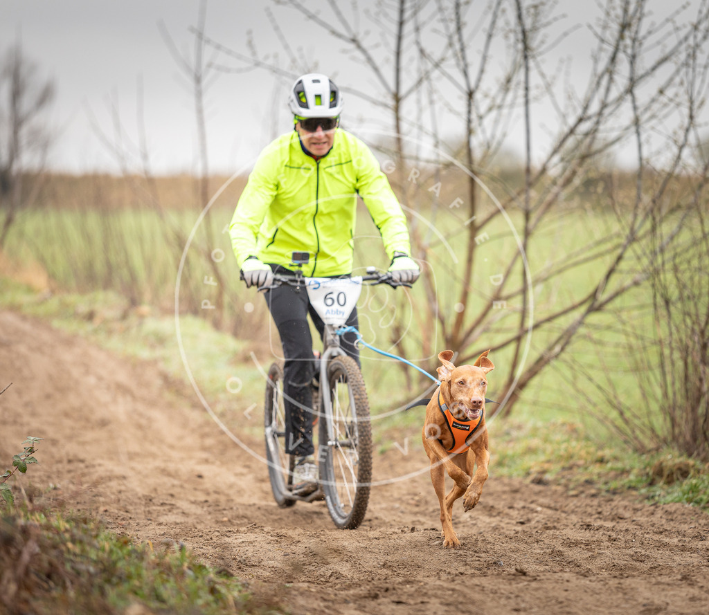DV3A9364 | Hundefotografie, Tierfotograf, Pfotenfotografie, Fotoshooting Hund, Hunde Portrait, Hundesport, Hundeportraits, Heideshooting, Hunde, Sportfotograf, Hundefotograf, Turnierhundsport, THS,  - Realisiert mit Pictrs.com