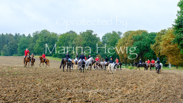 Jagd Kletkamp 26-9532_MarinaHewig | Fotografie, FotoArt, PferdesportArt, Pferdesportfotografie, Landschaftsfotografie, Reisefotografie, Reise, Pferde - Realisiert mit Pictrs.com
