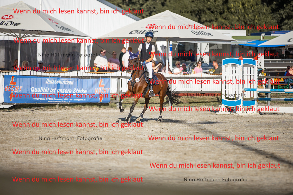 BK1A7881 | Turnierbilder Turnierfotos Nina Hüffmann Turnierfotografie Pferdefotografie Tierzeichnung Haustierzeichnung Pferdezeichnung Hundezeichnung Videograf  - Realisiert mit Pictrs.com