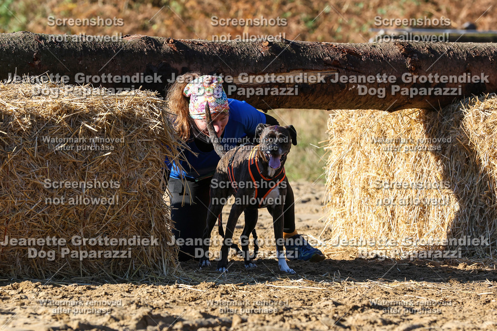 Dog Paparazzi - Strongdog 10-25-1920 | Dog Paparazzi Jeanette Grottendiek Fotografie & Videografie - Realisiert mit Pictrs.com