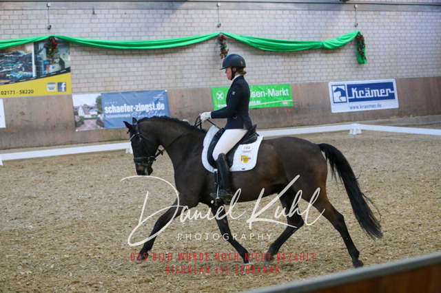 IMG_2676 | Turnierfotos kaufen im Webshop von Daniel Kuhl Photography – entdecke professionelle Reitsportfotos aus Turnieren & Events. Hochwertige Turnierbilder online bestellen & sichern. Jetzt Fotos von Reitsportturnieren kaufen!