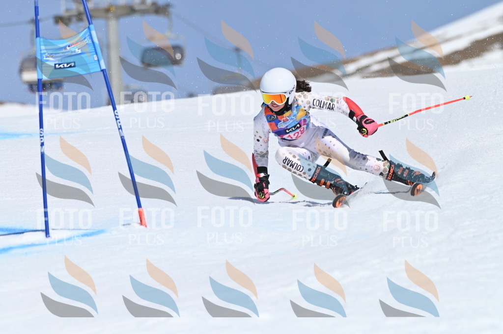 BGV_9950 | holidayphoto