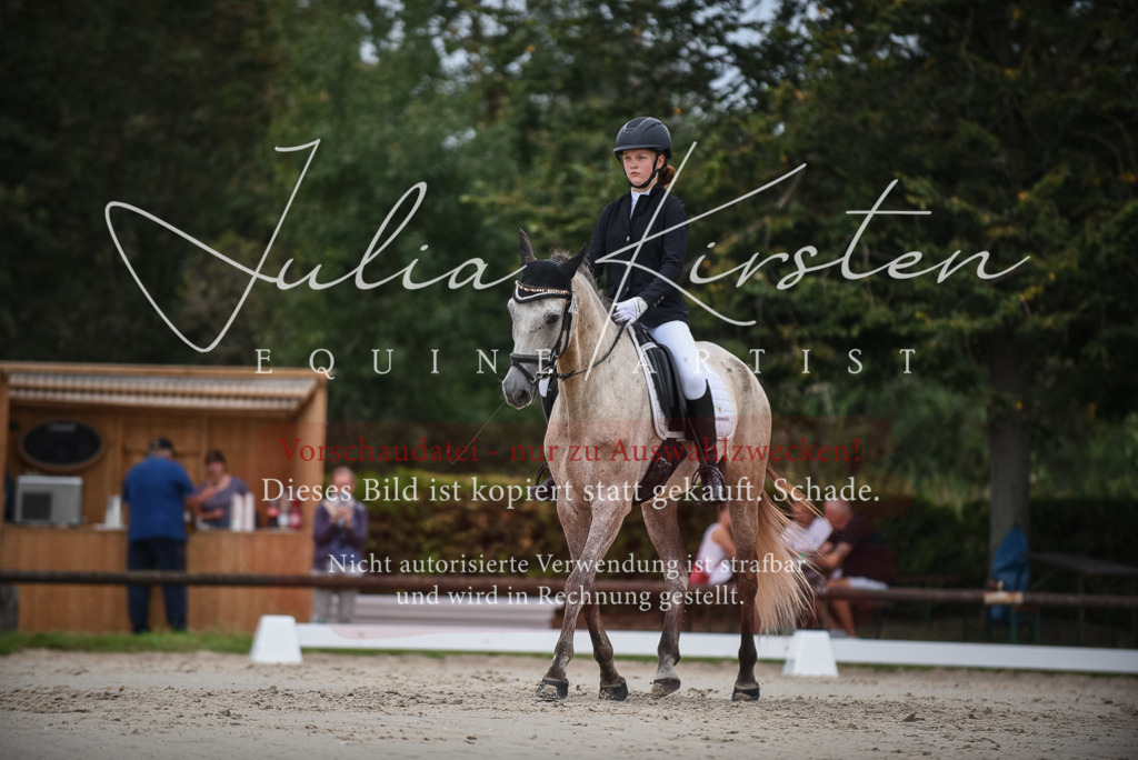 DSC_8206 | Pferde- und Turnierfotografie in Westsachsen. Pferdeportraits, Auftragszeichnungen und intuitive Kunst.