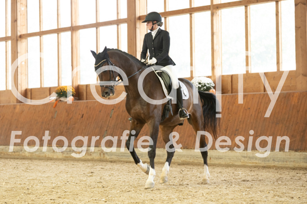 IMG_1474 | Creatify Fotografie